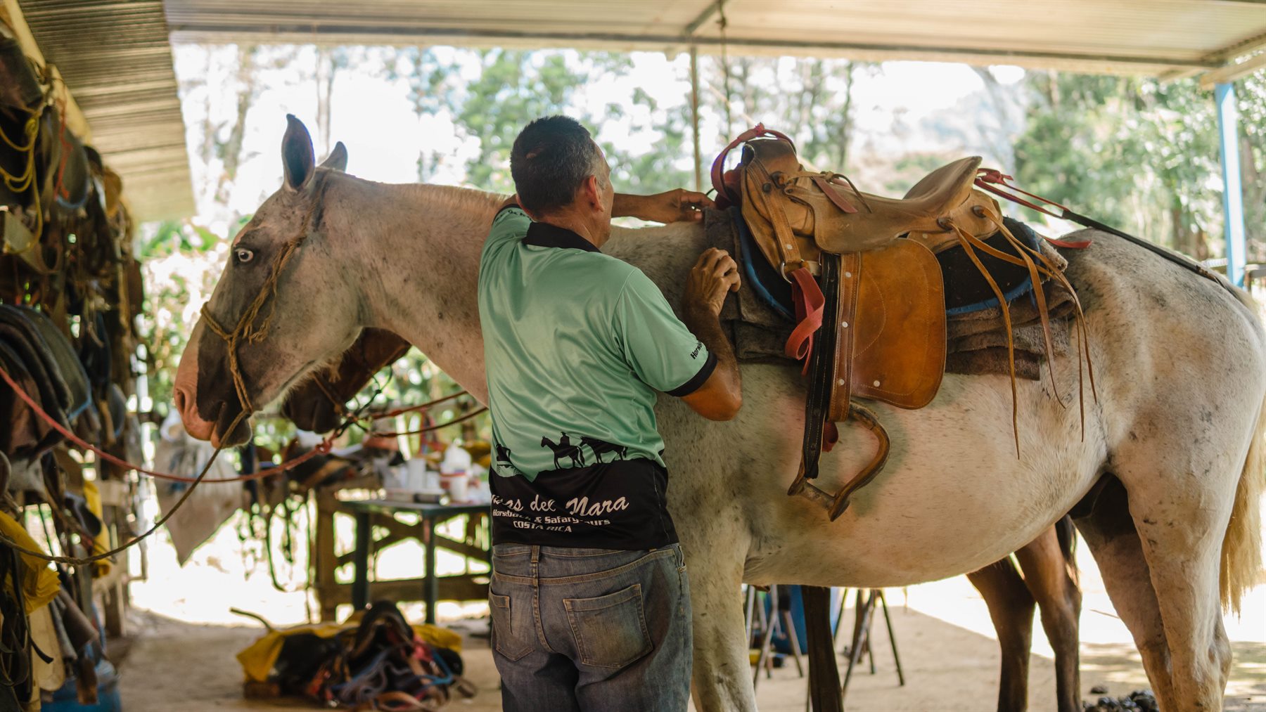 Brisas del Nara guide carefully saddling a horse before departure