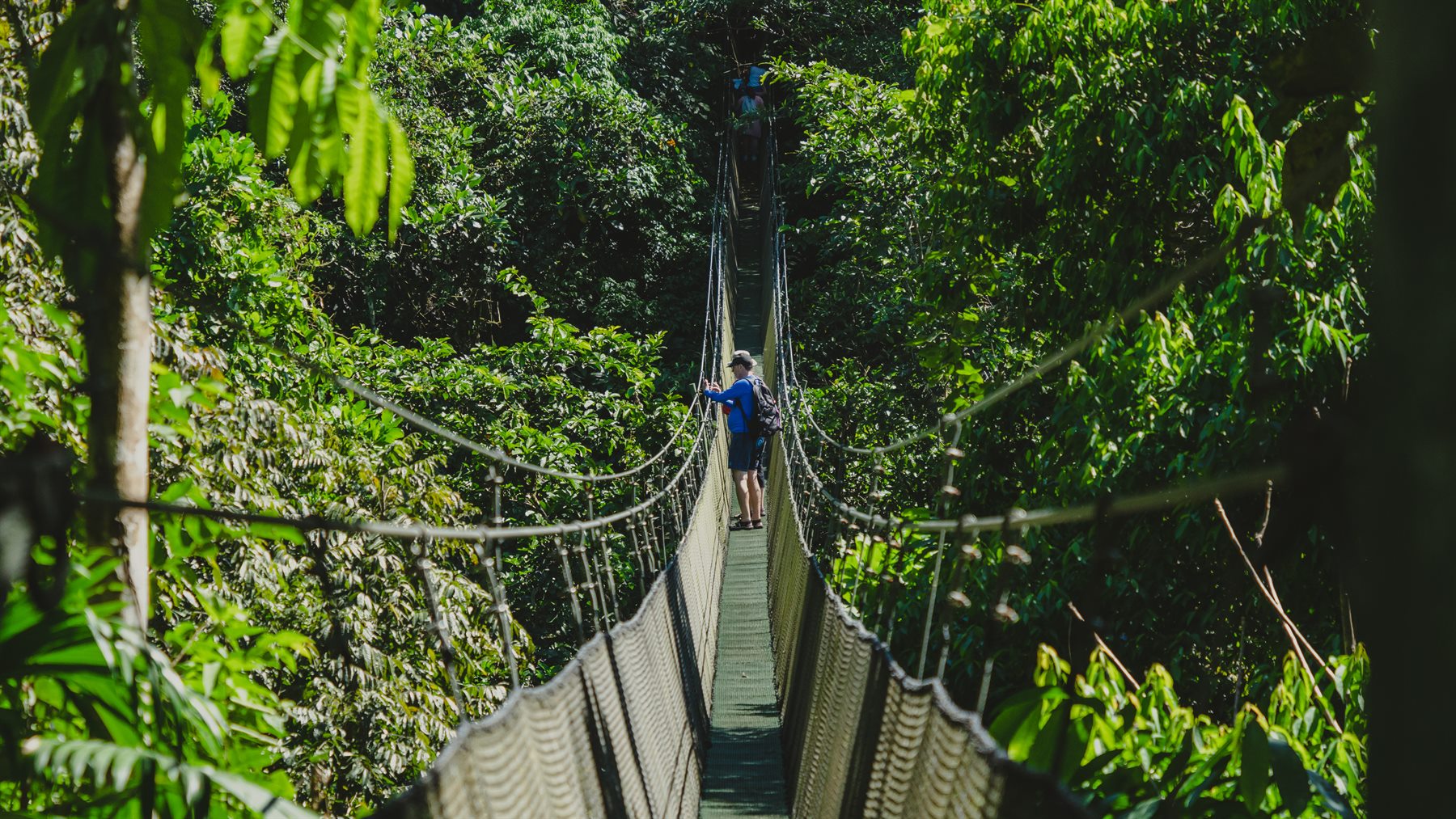 Hanging bridge in Los Campesinos