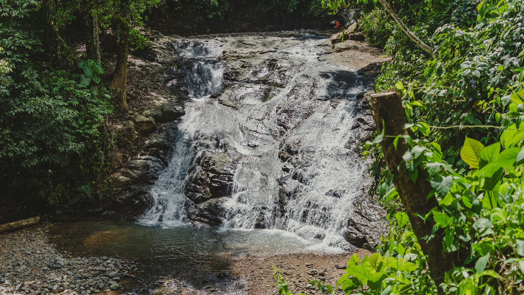 Los Campesinos waterfall surrounded by rainforest