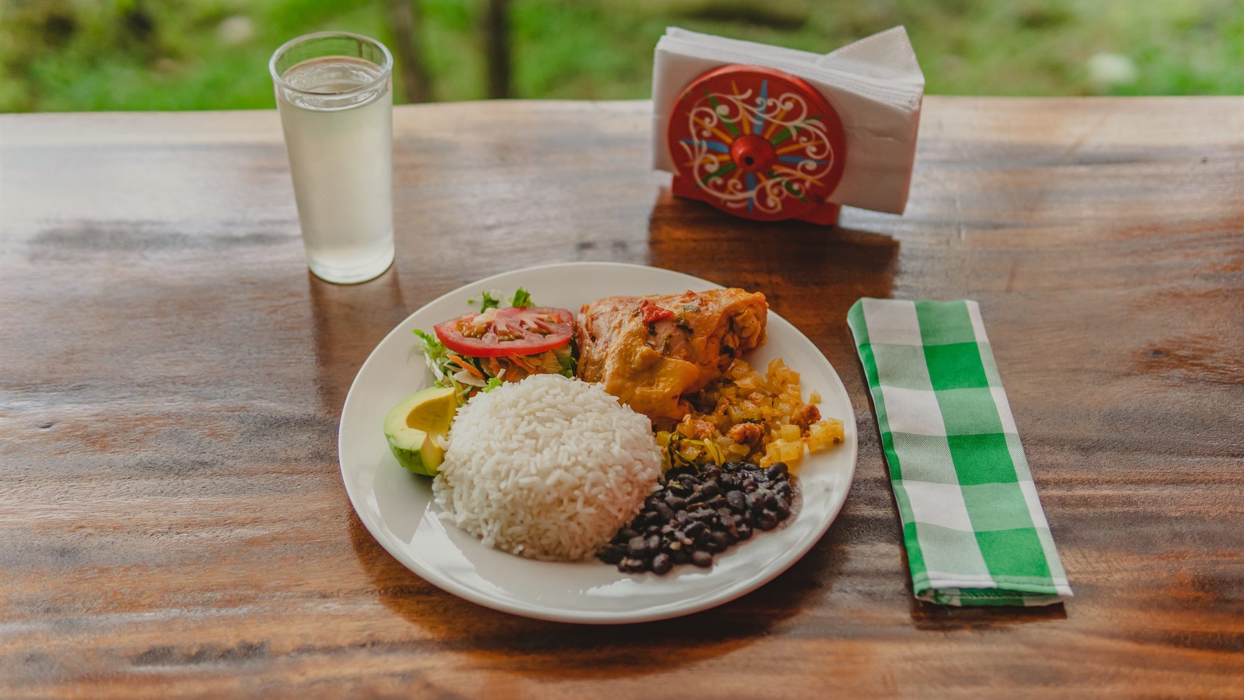 Traditional Costa Rican lunch served at Brisas del Nara